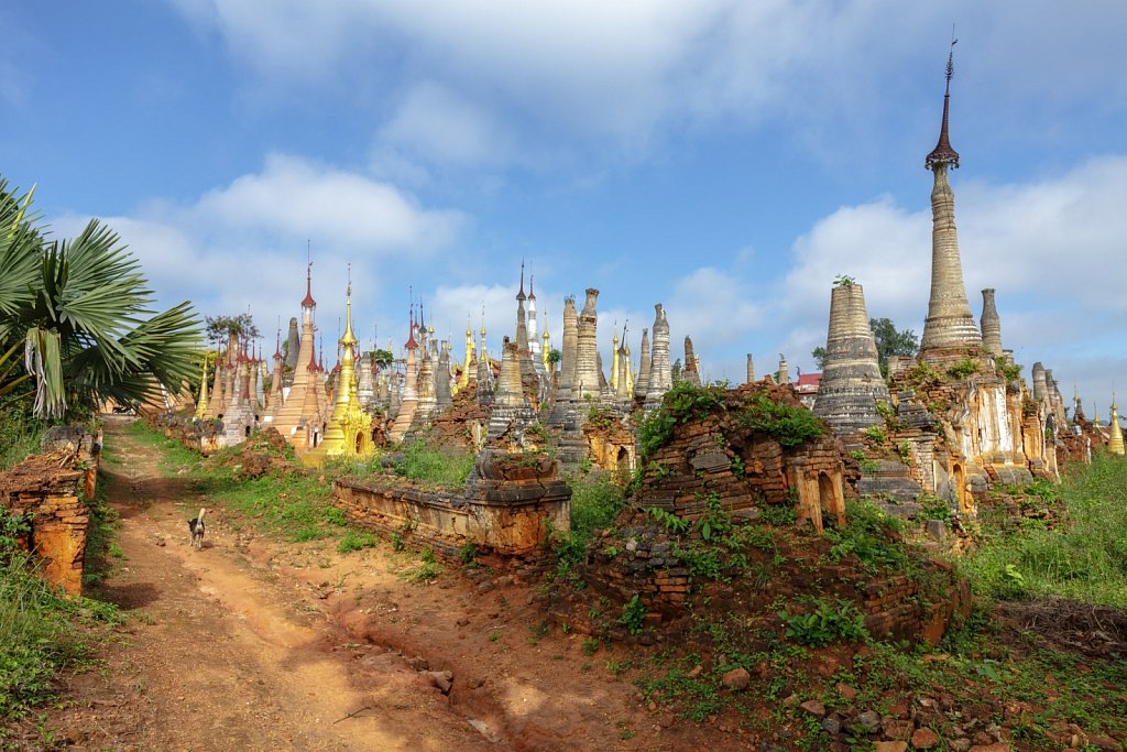 Shwe in Thein